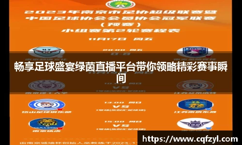 畅享足球盛宴绿茵直播平台带你领略精彩赛事瞬间