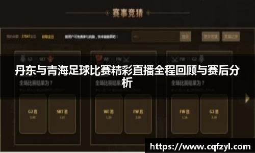 丹东与青海足球比赛精彩直播全程回顾与赛后分析