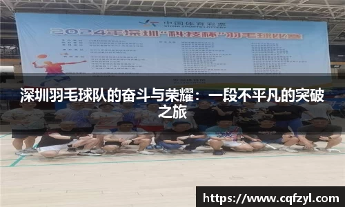 深圳羽毛球队的奋斗与荣耀：一段不平凡的突破之旅